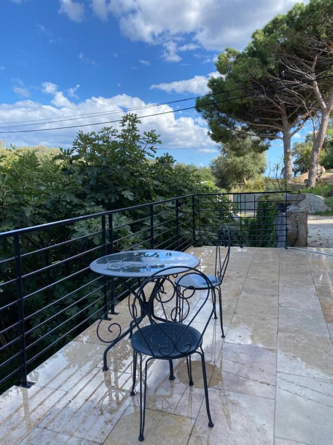 Home Sweet Home 2 Pieces 42 M2 Chambre, Salon, Cuisine, Grande Terrasse, Parking Proche Centre Ville Et Mer Bastia  Kültér fotó